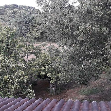 Padru Agriturismo La Tuvaヴィラ エクステリア 写真