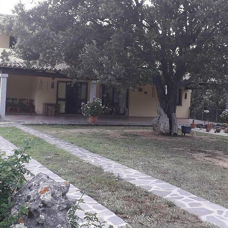 Padru Agriturismo La Tuvaヴィラ エクステリア 写真