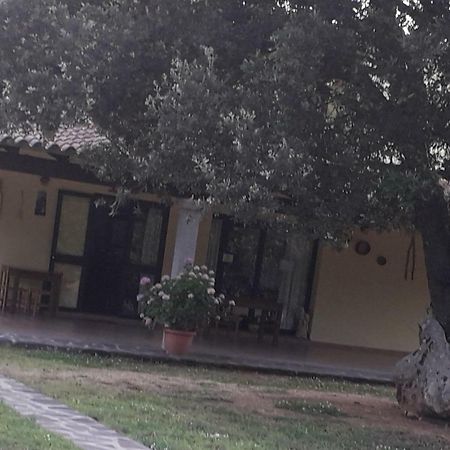 Padru Agriturismo La Tuvaヴィラ エクステリア 写真