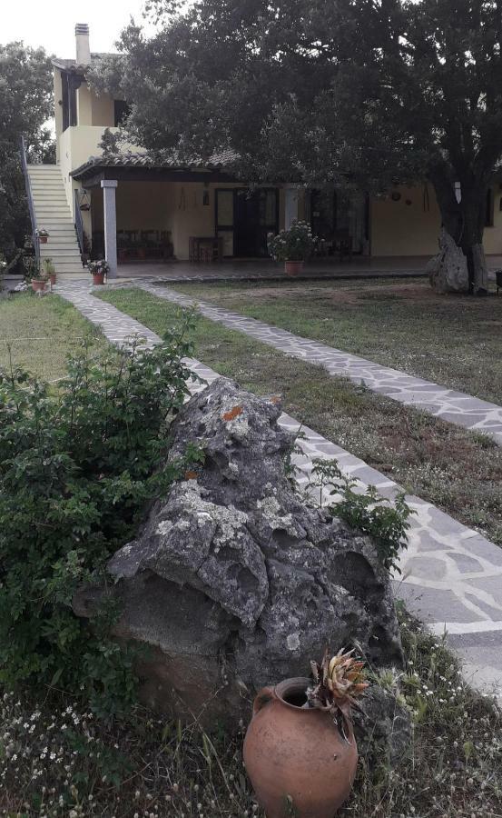 Padru Agriturismo La Tuvaヴィラ エクステリア 写真
