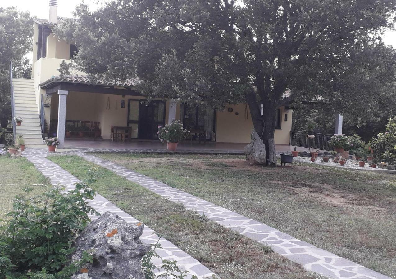 Padru Agriturismo La Tuvaヴィラ エクステリア 写真