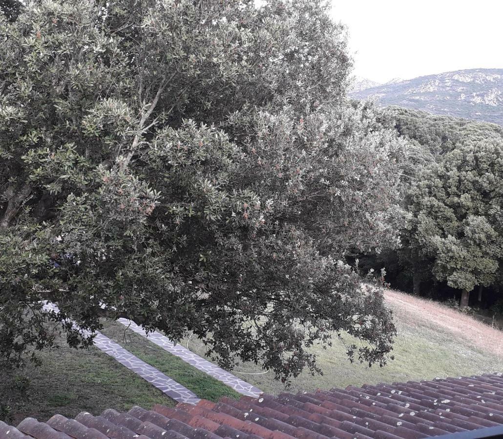 Padru Agriturismo La Tuvaヴィラ エクステリア 写真