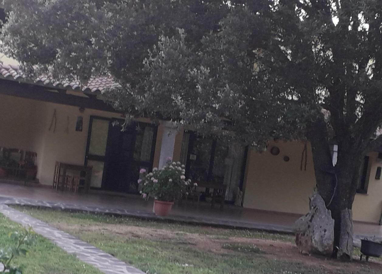Padru Agriturismo La Tuvaヴィラ エクステリア 写真